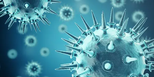 Spirulina for coping with RNA virus