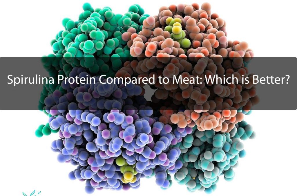 Spirulina protein compared to meat
