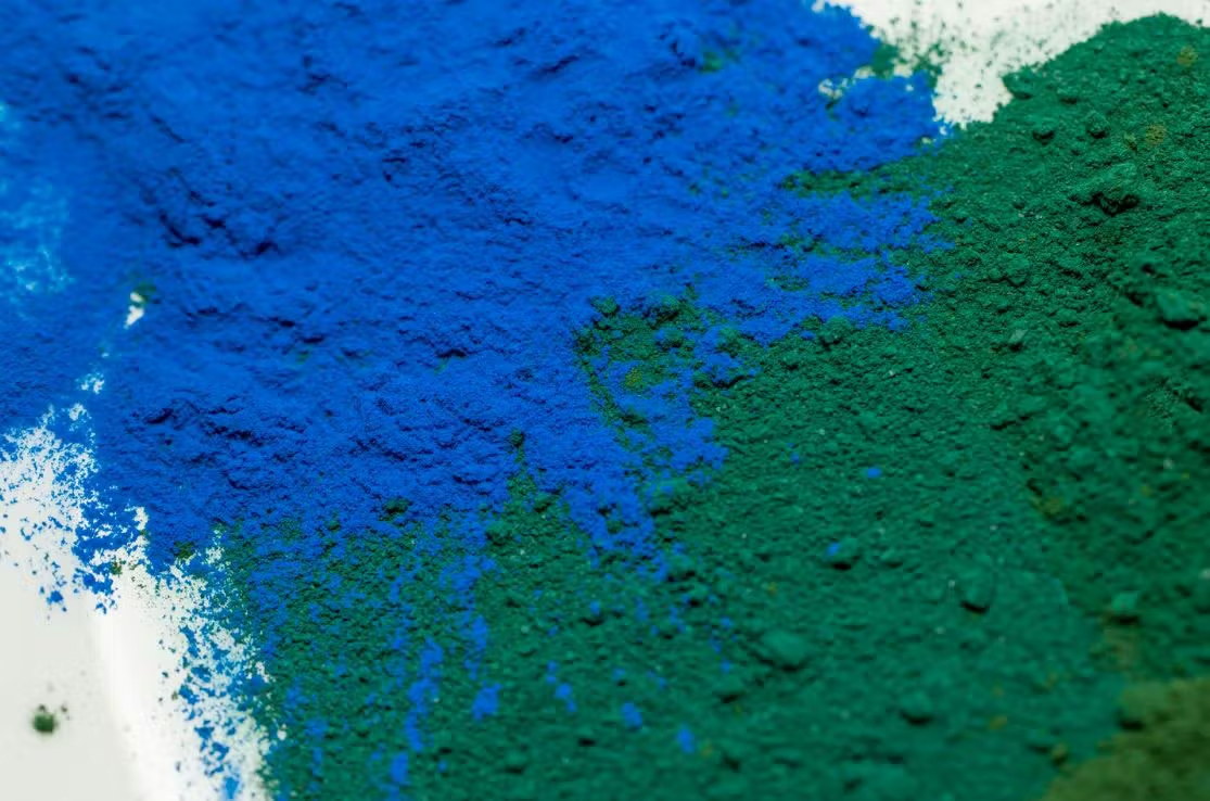 Royal Spirulina's vibrant blue-green color demonstrates superior phycocyanin content and freeze-dried quality