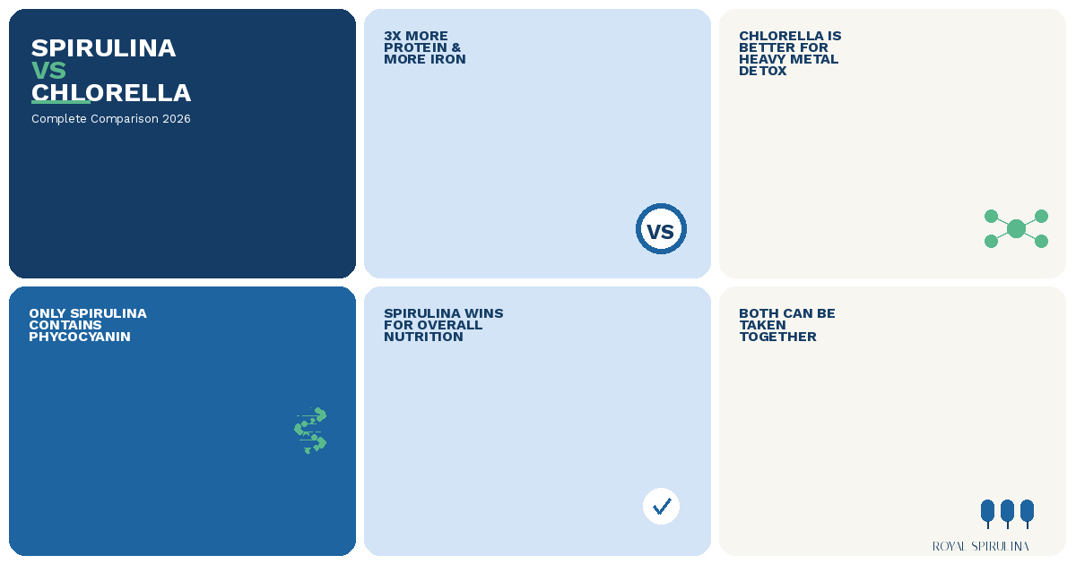Spirulina vs Chlorella - Which Superfood Is Better?