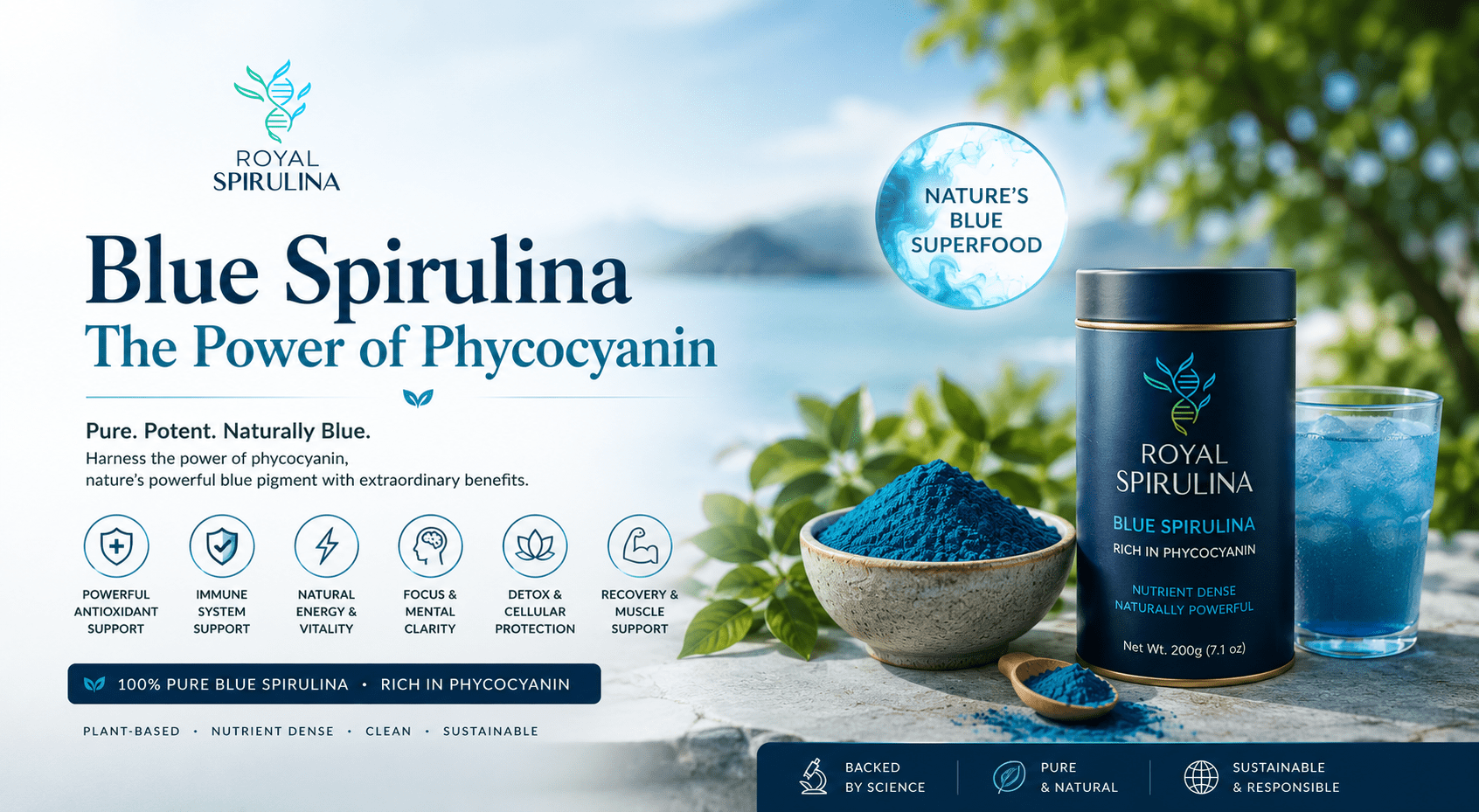 Blue spirulina phycocyanin powder showing the vibrant blue pigment extracted from spirulina