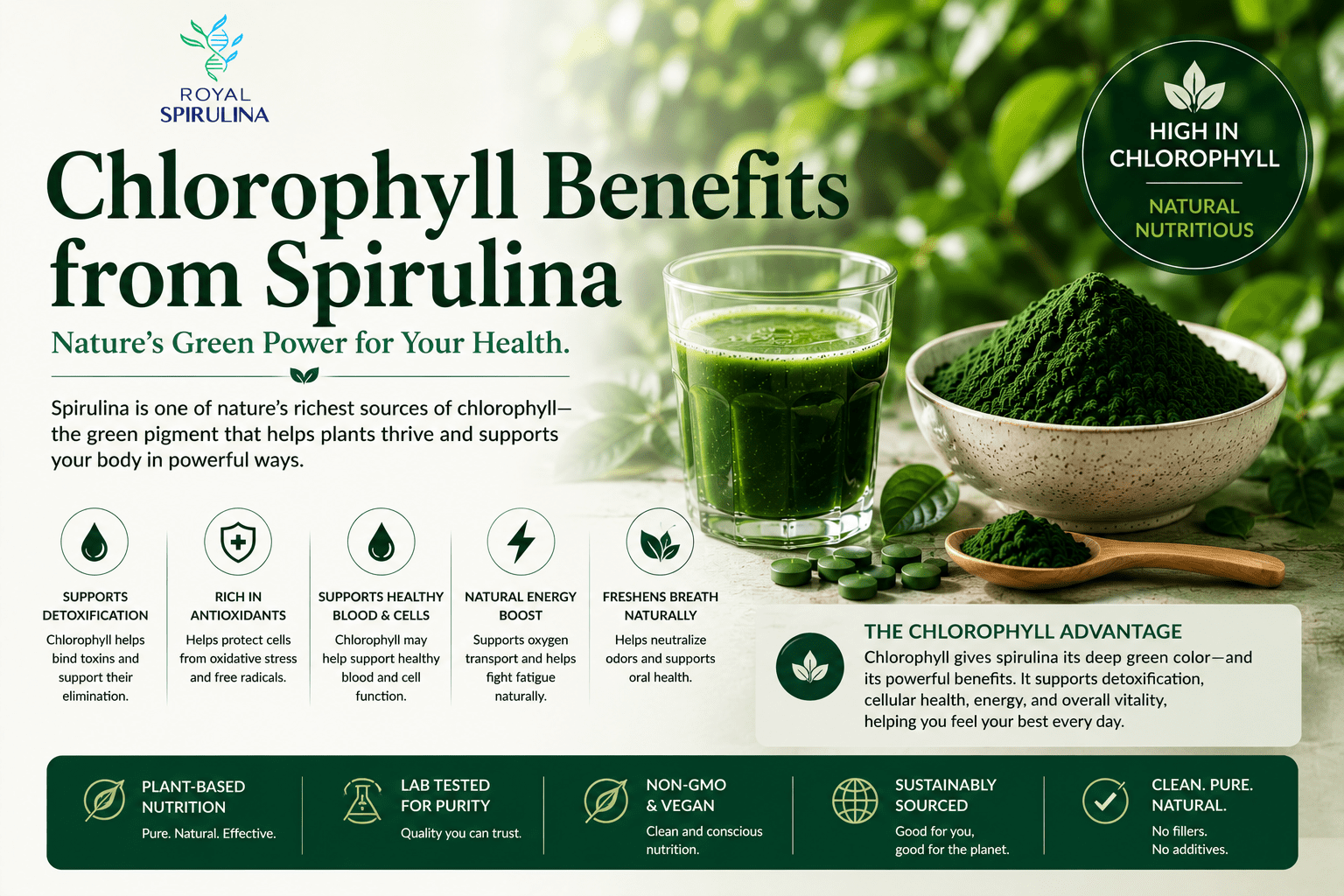Chlorophyll benefits - spirulina as richest natural chlorophyll source