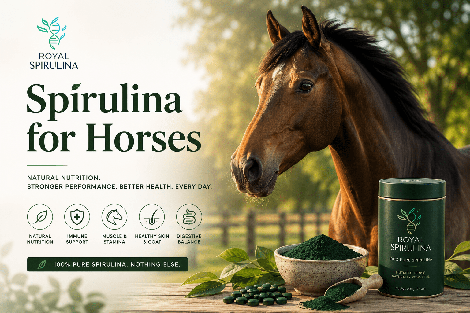 Spirulina for horses - equine health benefits supported by research